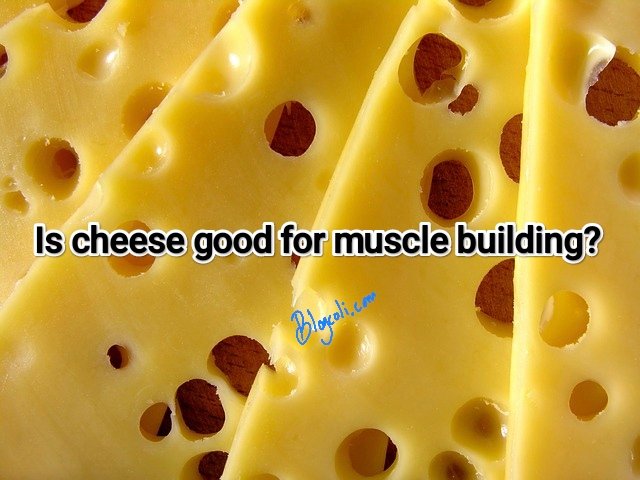 Is cheese good for muscle building?